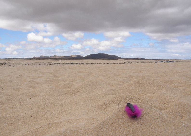 CORRALEJO-(Fuerteventura-Island-Canarie)---Dune---EXPLORER-MINI-ROBOT-2